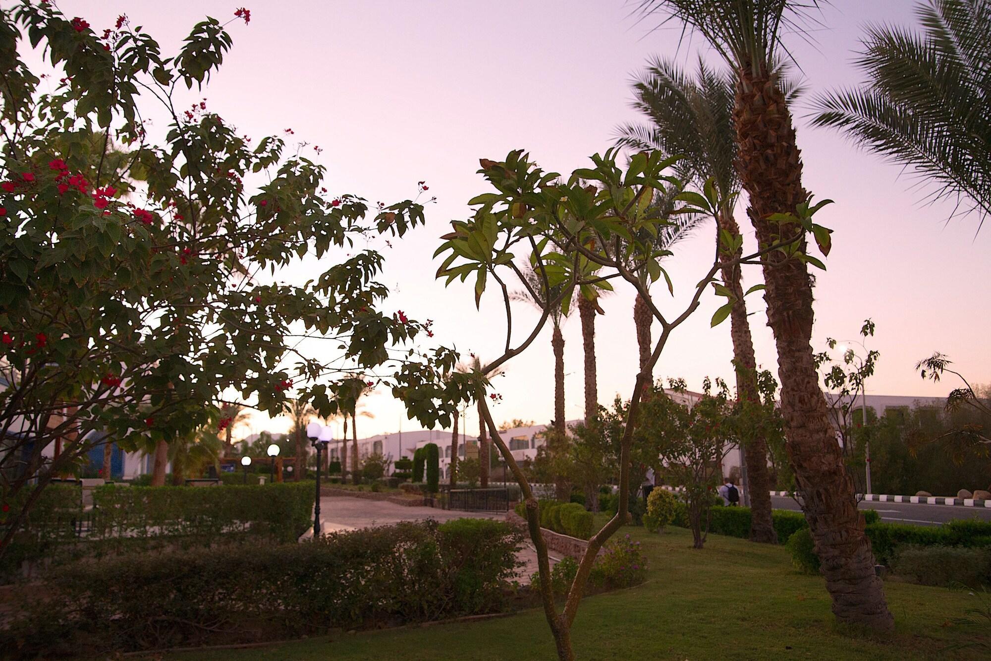Naama Blue Hotel Charm el-Cheikh Extérieur photo